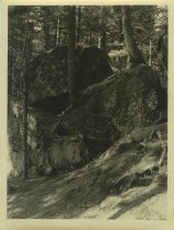 Adirondack Nature Scene