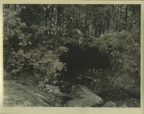 Adirondack Nature Scene