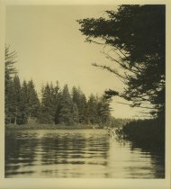 Adirondack Nature Scene