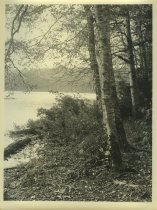 Adirondack Nature Scene