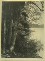 Adirondack Nature Scene