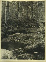 Adirondack Nature Scene