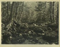 Adirondack Nature Scene