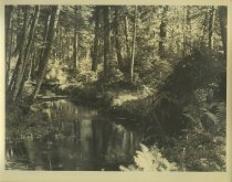 Adirondack Nature Scene