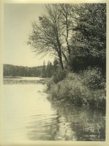 Adirondack Nature Scene