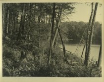 Adirondack Nature Scene