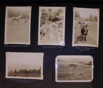 P085706, P085707, P085708, and P085709