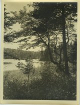 Adirondack Nature Scene