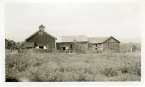 Barns Across From Our House