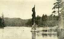 Print, Real Photo Postcard