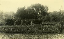 Bechtoldt's Pergola, Saranac, N.Y.  No. 9.