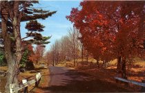 Colorful Autumn Road Scene, Adirondack Mountains