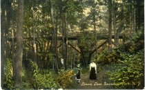 Lovers Lane, Sacandaga Park, N. Y.