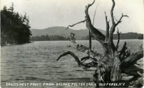 Eagles Nest Point, from 3d Lake, Fulton Chain, Old Forge, N.Y.