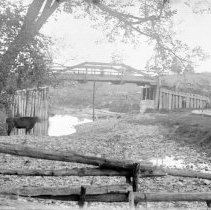 Bridge and a cow in a rocky river valley in the Kincardine area.