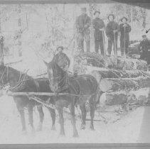 Logging team with Murdock McKay - Front