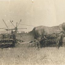 Patrick Janisse on binder