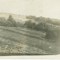 Farmer's field postcard, Burgoyne