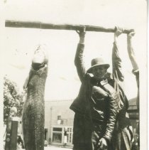 Sturgeon caught near Cargill, Ontario, weight 108 lbs., length 6 ft. 2 in.,
