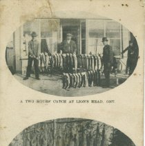Fishing and Hunting in Lion's Head, Ont., postcard dfront