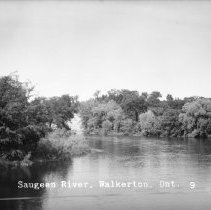 Saugeen River, Walkerton, Ont. 9
