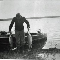 [no title] [Bringing the catch ashore]