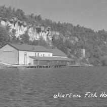 Wiarton Fish House 1