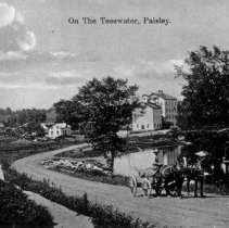 On the Teesweater, Paisley