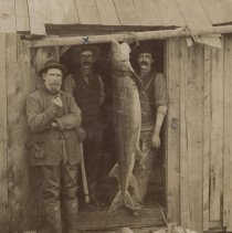 Hector McKenzie and two men with large fish