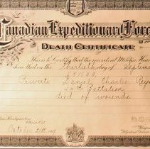Daniel Charles Reynolds display - Death Certificate