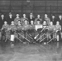 Ripley Hockey Team