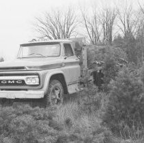 K-66-19-05 Howard Krug & Ed Yule cutting scotch pine christmas trees