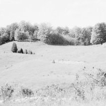 K-80-24-08 Rolling land at west end of Krug "Berry Tract", south of Elmwood