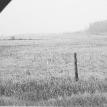 K-80-24-22 Cattle egret - Reid Flats north of Tara