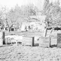 K-80-24-35 Krug Bros #385 Dresser - center right sold for $30.00