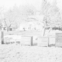 K-80-24-36 Old dresser - center left- scalloped dovetail sold for $70.00