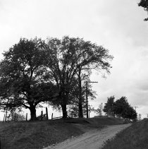 A2013.012.00675 - "Dave Chappell", possibly Saugeen Township