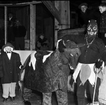 A2013.012.02264 - Port Elgin Skating Carnival, 1954