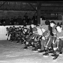 A2013.012.02273 - Port Elgin Skating Carnival, January 1956