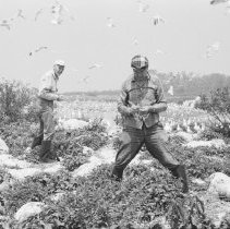 K-65-08-10 Howard Krug & Jack Graper, Chantry Island, 1965