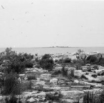 K-65-08-19 Gull Island, Howdenvale, 1965