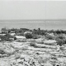 K-65-08-20 Gull Island, Howdenvale, looking west toward Cavalier Island