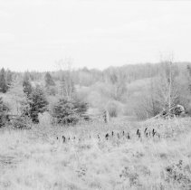 K-72-14-10 East of  log barn at Rye, Muskoka