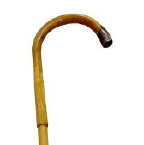 Cane