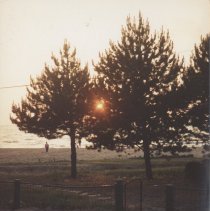 Sunset view from Cottage 43 - The Daisy