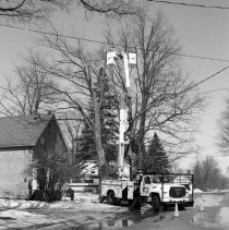 K-95-01-22 P.U.C. trimming maple trees on River St., Chesley