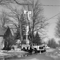 K-95-01-23 P.U.C. trimming maple trees on River St., Chesley