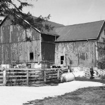 K-95-01-35 Barn of Doug Bell, Lot 25, Con. 14, Brant Twp., March 18, 1995