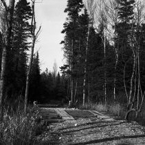 K-61-01-21 Bridge over Spring Creek at Krug Lot, Spring 1960