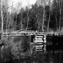 K-61-02-22 Pal at bridge over Sping Creek at Krug Property, Fall 1960